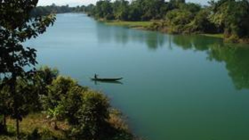Parcul Natural Lunca Mureșului