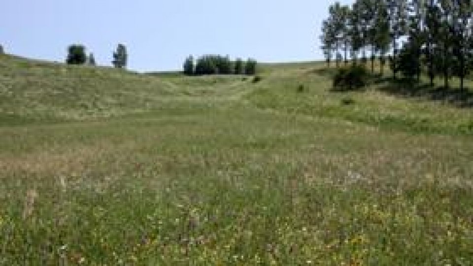 Rezervația fânețelor seculare Ponoare