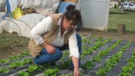 Locuri de muncă în agricultura din Danemarca