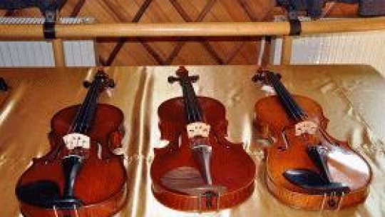 Reghin,oraşul viorilor