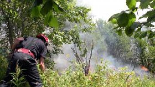 40 de incendii de vegetaţie uscată în judeţul Botoşani