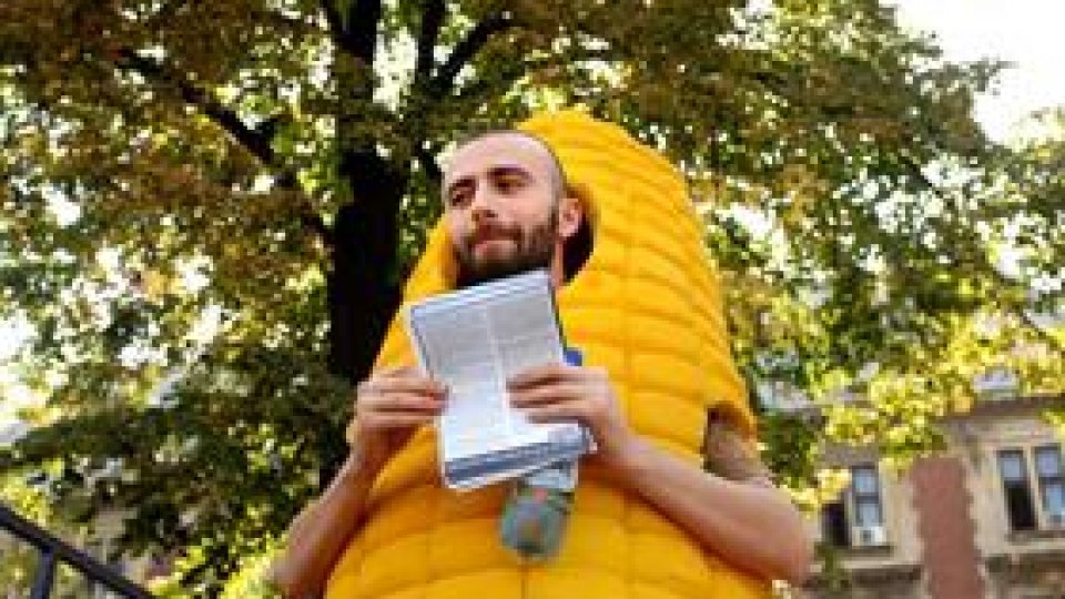 Argumente pentru interzicerea organismelor modificate genetic