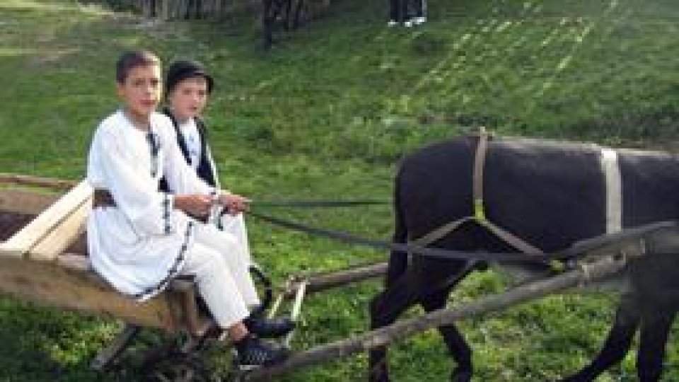 Sheep upside down holiday in Argeş