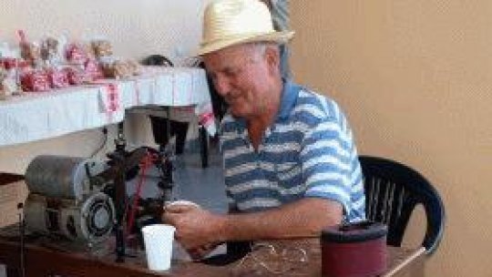 Meserii rare, dar profitabile