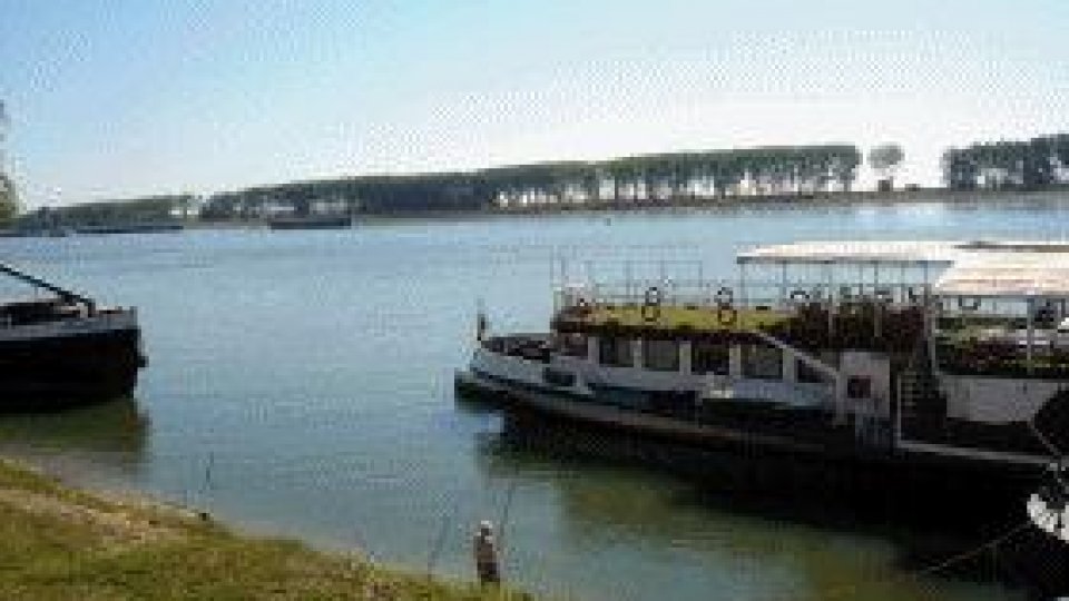 Sturioni monitorizaţi pe Dunăre