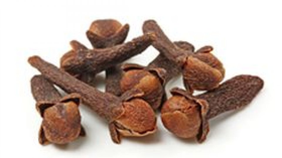 Cuişoarele – esenţa iubirii abia înmugurite