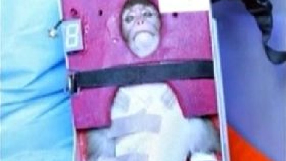 Maimuţa iraniană "a încălcat o rezoluţie ONU"