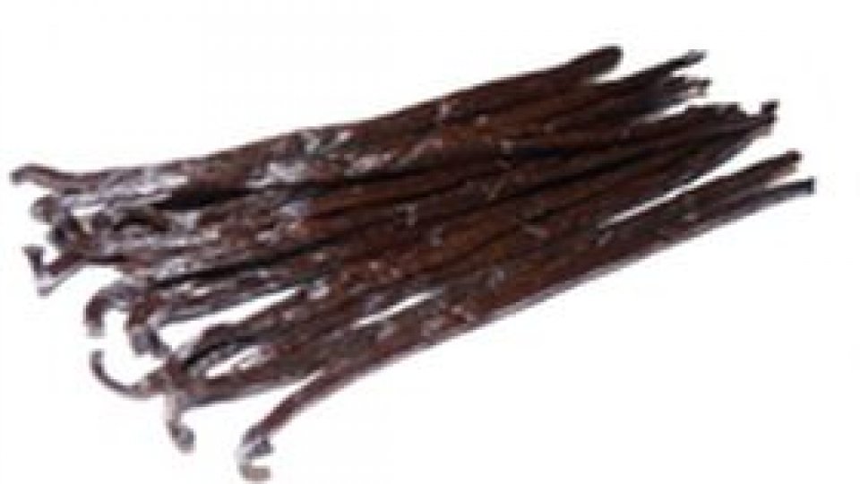 Vanilia – esența îmbrățișării fără sfârșit