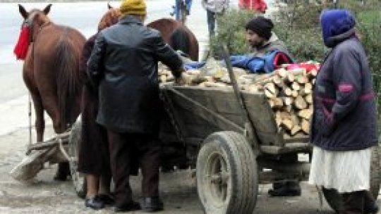 Cererile pentru ajutoarele la lemne de foc, până la 20 noiembrie