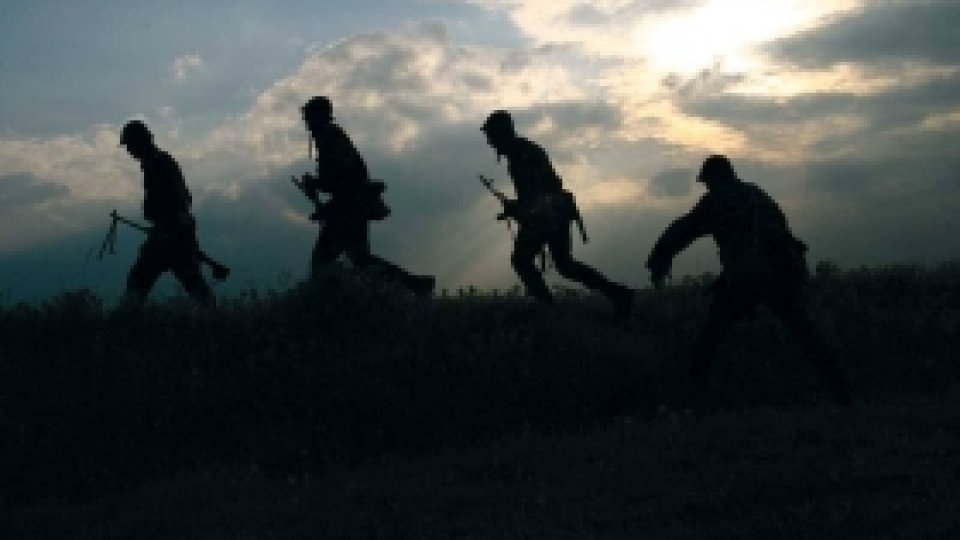 Ziua Armatei Române