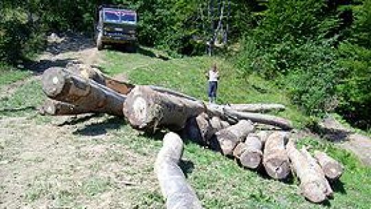 Lucrători din silvicultură au pichetat Palatul Parlamentului