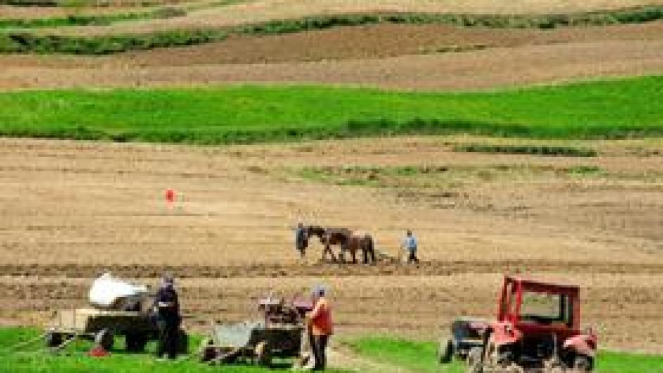 Guvernul discută proiectul de lege privind terenurile agricole