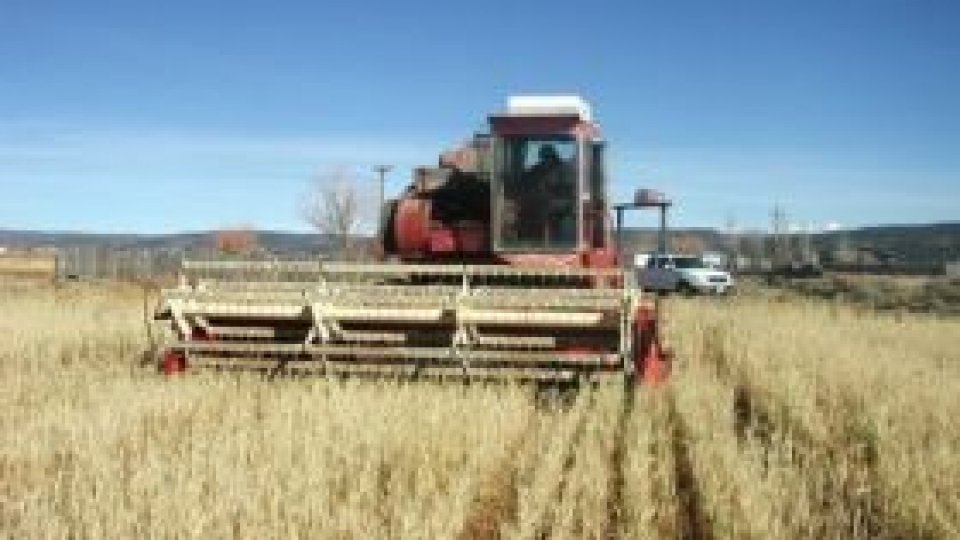 Noi reguli pentru vânzarea terenurilor agricole