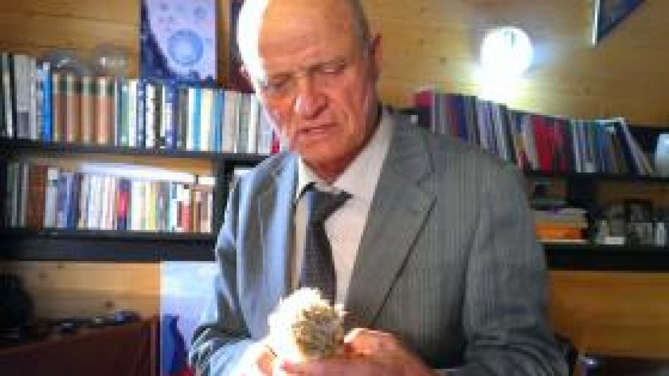 ”Joacă + nebunie frumoasă = secretul vieţii veşnice”