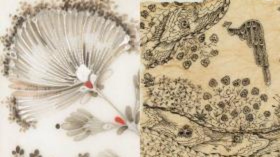 Grădina dintre ape, un produs editorial-eveniment