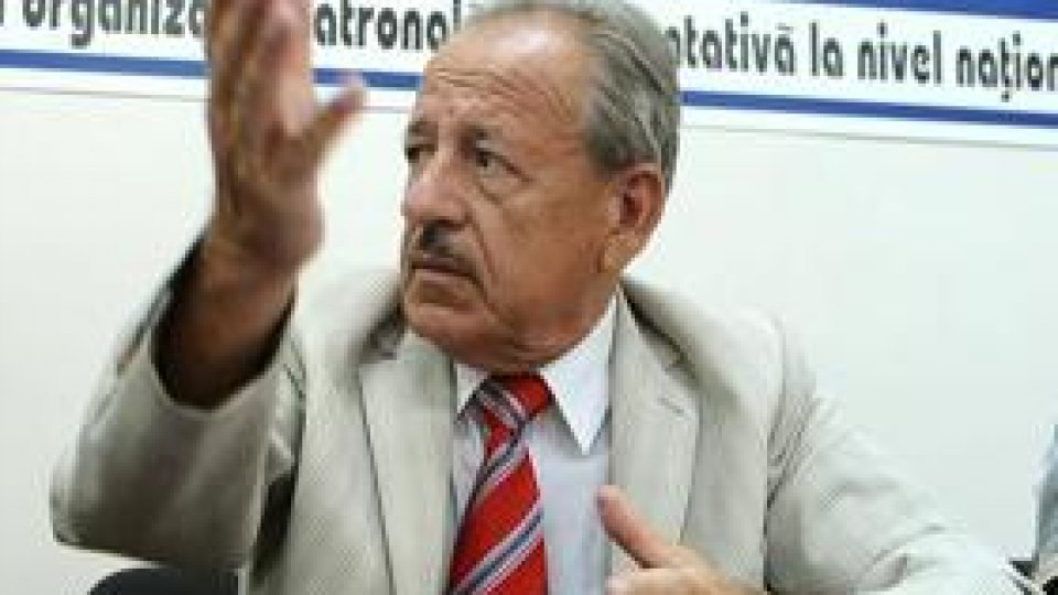 Unele stimulente pentru IMM-uri "lipsesc în noua lege"