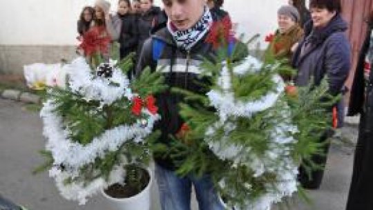 Brazi la ghiveci, în Bistriţa-Năsăud