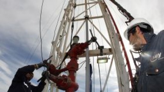 Ridicarea restricţiilor pe piaţa muncii, dezbătută de englezi