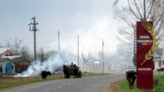 REPORTERII RADIO ROMÂNIA