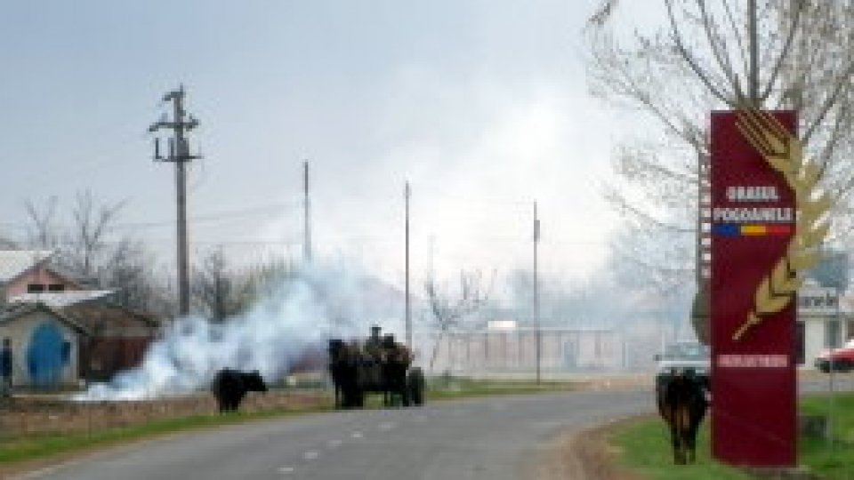 REPORTERII RADIO ROMÂNIA