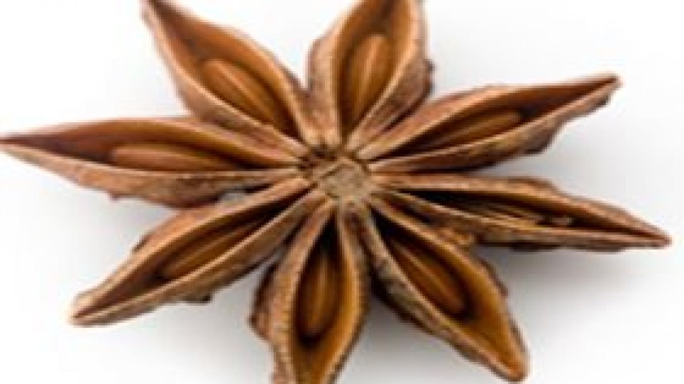 Anasonul stelat – esența adevăratei seducții