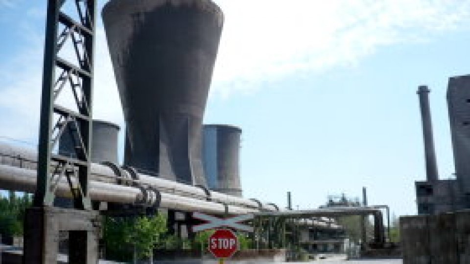 REPORTAJUL VERDE