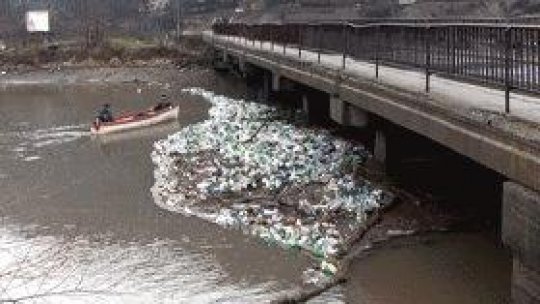 REPORTAJUL VERDE