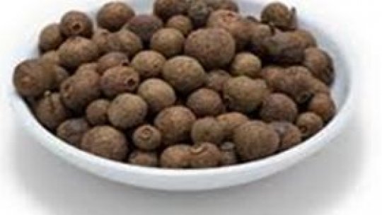 Ienibaharul – esenţa regăsirii de sine