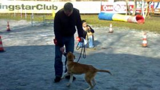 Deţinuţii "vor dresa câini comunitari"