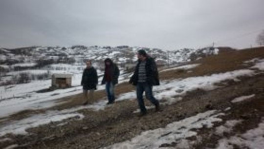 Cum este crescut un miel în România?