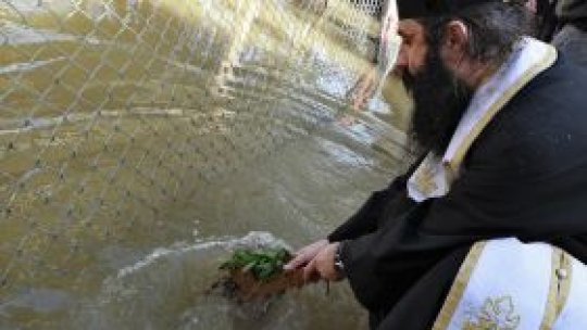 Preot din Constanţa, reţinut pentru trafic de etnobotanice