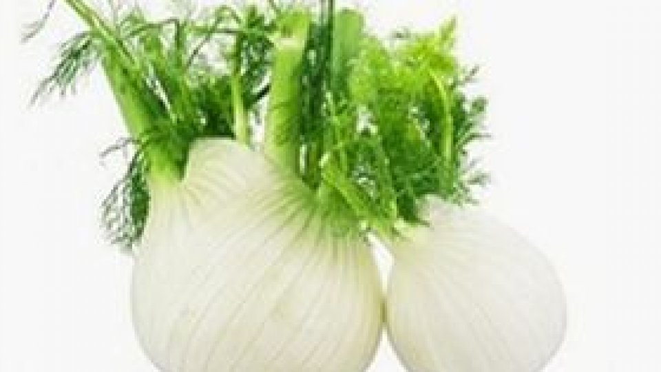 Feniculul – esența trezirii și îmbogățirii de sine