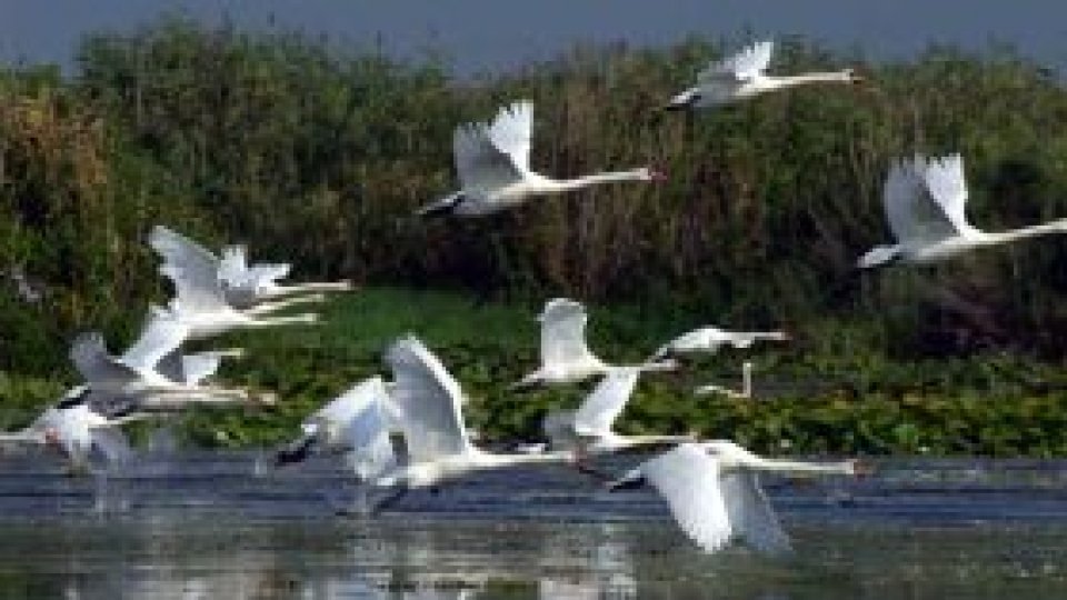 Mi-e dragă România pentru Delta Dunării