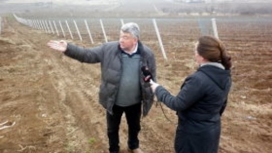 În cinstea ţãranului!