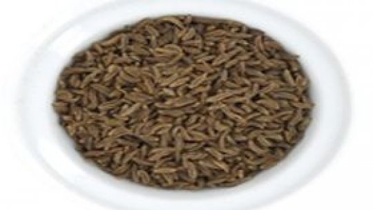 Chimenul – esența iubirii nepieritoare