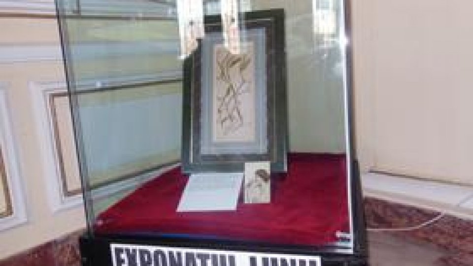 "Exponatul lunii" la Muzeul Judeţean Argeş