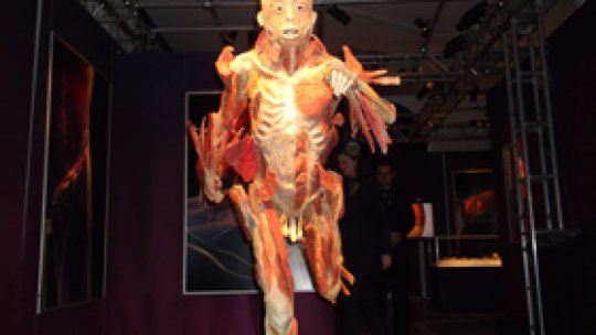 "The Human Body" la Muzeul Antipa