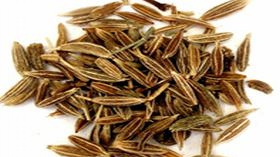 Chimionul – esența pasiunii descătușate