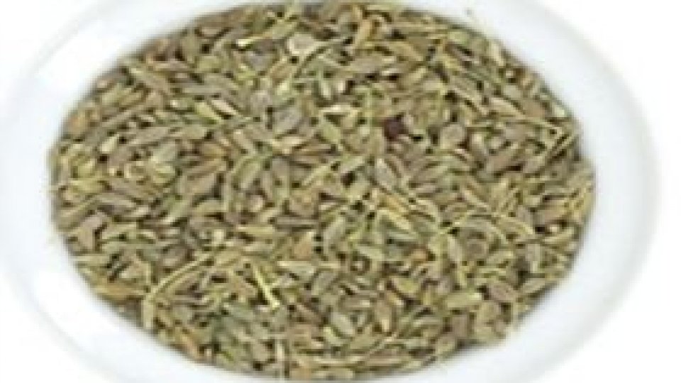 Anasonul mediteranean – esența micilor fericiri de acasă