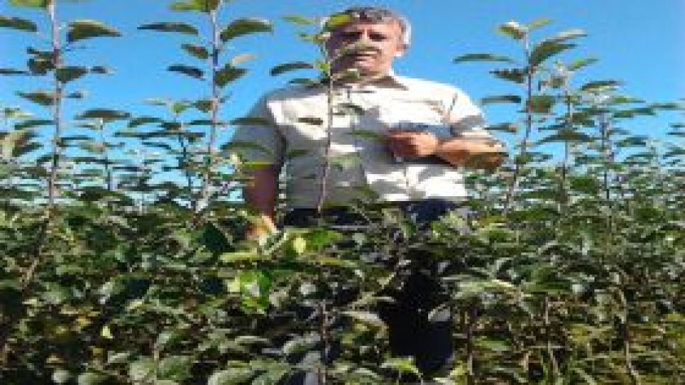 A dat cartea pe munca pământului!