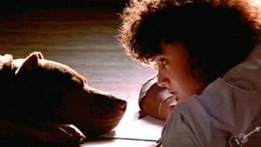 Ascultă noaptea - ediția 29 (1 aprilie 2013)