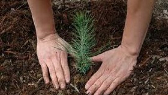 Sute de voluntari "au plantat fapte bune"