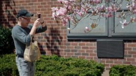 Bostonul supraviețuiește