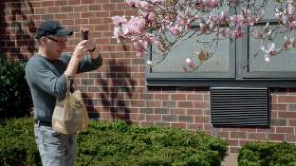 Bostonul supraviețuiește