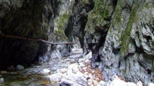 Mi-e dragă România pentru Cheile Glodului