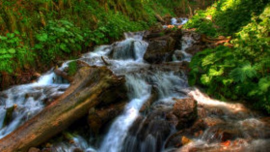 Mi-e dragă România pentru cele două izvoare carstice din Poşaga