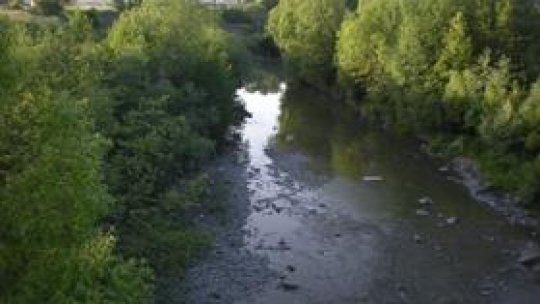 Râuri mai curate în Bistriţa