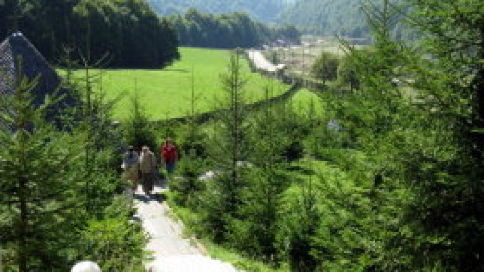 Patria frumuseții sălbatice