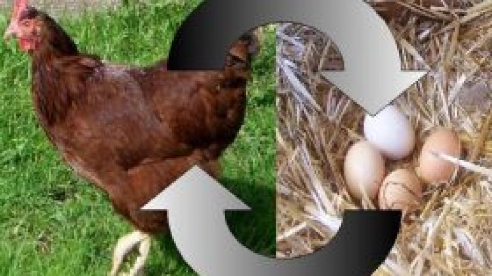 ''150 de cuvinte despre cei ce nu cuvântă''