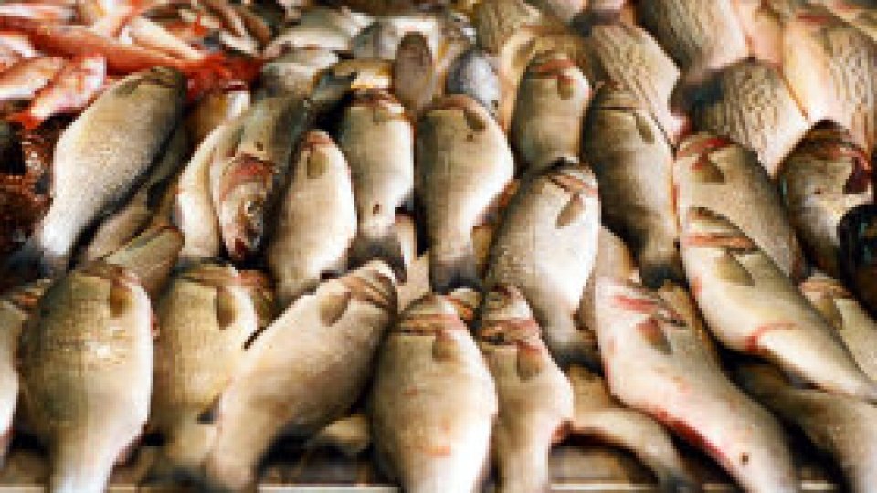 O piaţă de peşte se va construi la Năvodari